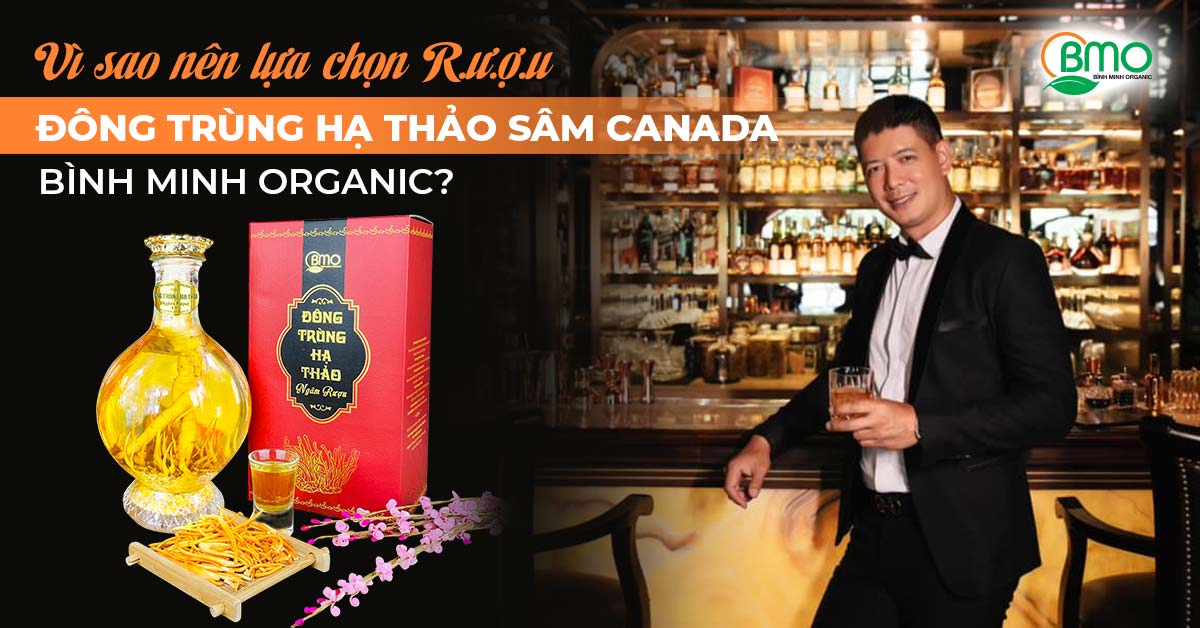 Vì sao nên lựa chọn rượu đông trùng hạ thảo – sâm canada Bình Minh Organic?